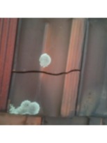 Cracked tiles for roof repairs Melbourne