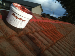 roof repair concrete tile pointing